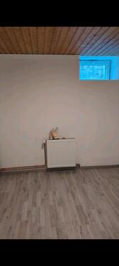 Foto - 1 Zimmer Erdgeschoßwohnung zur Miete in Lohne (Oldenburg)