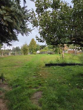 Foto - Grundstück zur Miete in Schleusingen