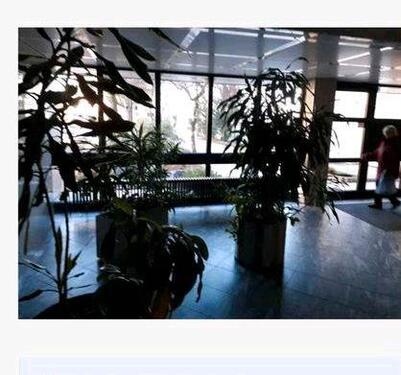 Foto - Etagenwohnung zum Kaufen in Wuppertal