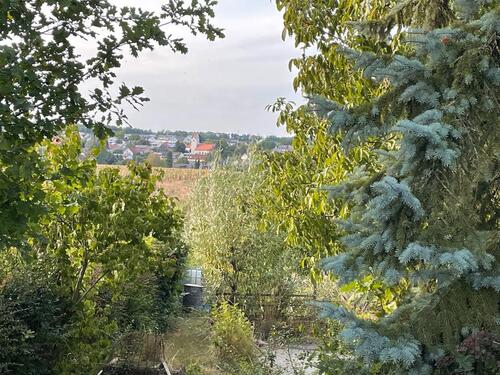 Foto - Grundstück zur Miete in Maxhütte-Haidhof
