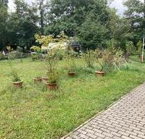 Ideal für Singles und Paare! 2-Raumwohnung in liebevolle Hände abzugeben. - Lauta