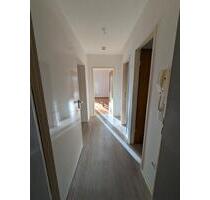 Helle 2-Zimmer-Wohnung mit Küche - Hemmingen