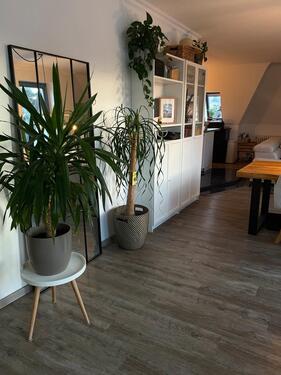 Foto - Etagenwohnung in Dresden zur Miete