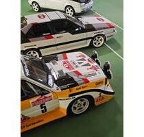 Exklusive KFZ Oldtimer Premium Stellplätze - Frankfurt am Main