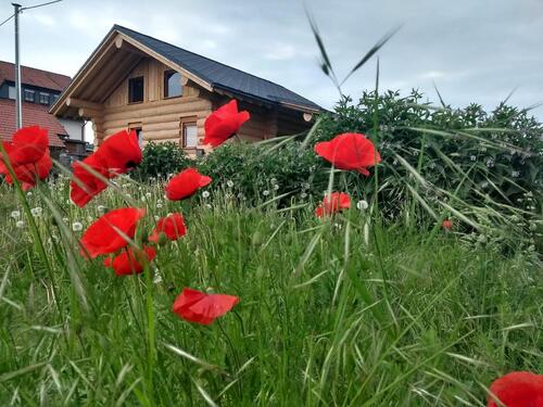 Foto - Naturstammhaus Vadenrod Baujahr 2021