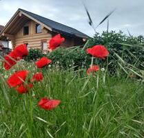 Naturstammhaus Vadenrod Baujahr 2021 - Schwalmtal