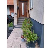 idyllisches Anwesen - 250.000,00&nbsp;EUR Kaufpreis, ca.&nbsp; 217,00&nbsp;m&sup2; in Bad Hersfeld (PLZ: 36251)