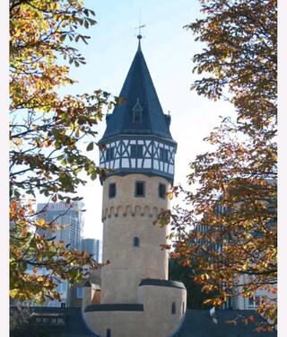 Foto - Wohnung zur Untermiete in Frankfurt-Bockenheim