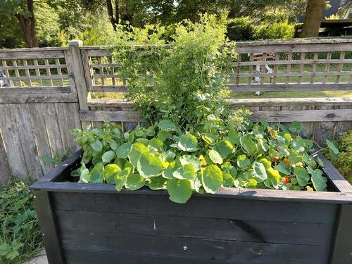 Foto - 3 Zimmer Einfamilienhaus in Aachen