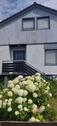 Foto - 7 Zimmer Einfamilienhaus in Hünfelden
