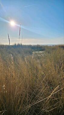 Foto - andere in Hage zur Miete