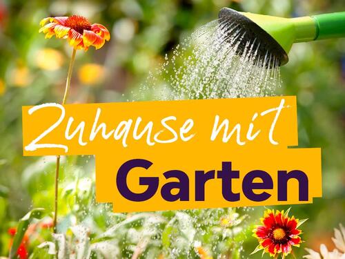 Foto - +++ Mit wenig Stufen ins neue Wohnglück +++