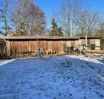 Offenstall mit elektr. Heuraufe, Koppel und Reitplatz - Ahrensbök