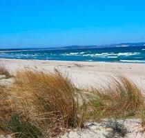 Ostsee Rügen Ferienwohnung mit Meerblick Fewo - Sellin