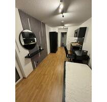 Wunderschöne 1-Zimmer-Wohnung am Wöhrder See - Nürnberg Gibitzenhof