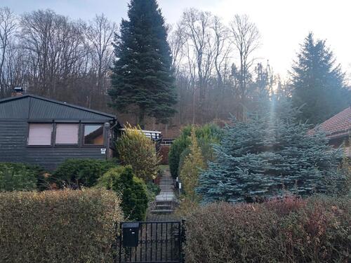 Foto - 3 Zimmer Bungalow in Falkenstein/Harz