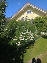 Foto - Einfamilienhaus in Goldberg zum Kaufen