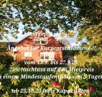 Ferienhaus mit Hund an der Nordsee Ostfriesland, Monteure - Westerholt