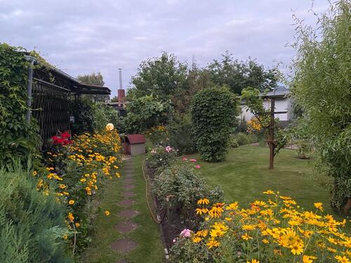 Foto - 3 Zimmer Bungalow in Lübben (Spreewald)