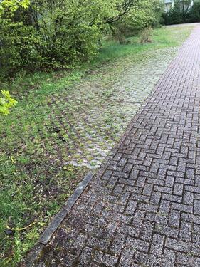 Foto - Stellplätze zu vermieten - 10,00 EUR Miete,