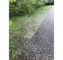 Stellplätze zu vermieten - 10,00 EUR Miete, in Bad Emstal (PLZ: 34308)