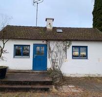 Wohnen im Grünen - 2 Zimmer Haus in Obermenzing - München Pasing-Obermenzing