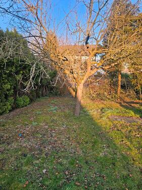 Foto - 6 Zimmer Einfamilienhaus zum Kaufen in Paderborn
