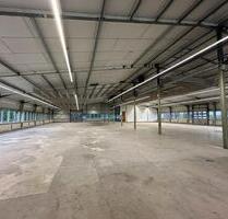 Ca. 1350 m² beheizte Halle (Rampenebene) mit Bürofläche in Hamburg