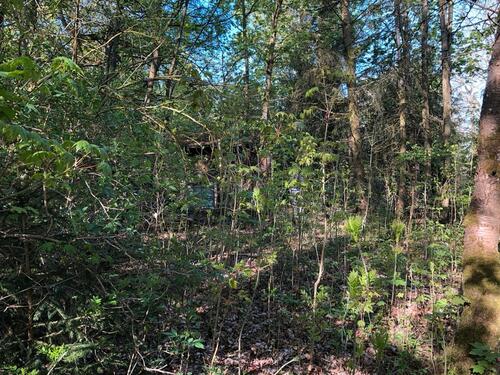 Foto - 1 Zimmer Einfamilienhaus zum Kaufen in Hof