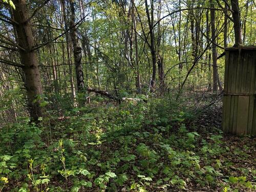 Foto - 1 Zimmer Einfamilienhaus in Hof