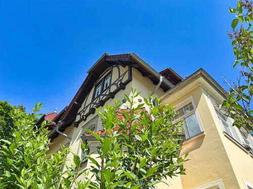 Foto - andere in Dresden