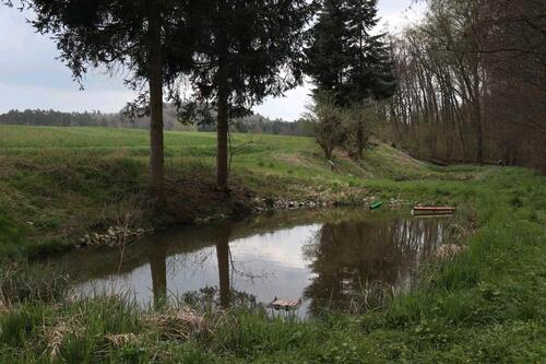 Foto - Teiche Weiher zu verpachten - 100,00&nbsp;EUR Kaltmiete, ca.&nbsp; 0,00&nbsp;m&sup2;
