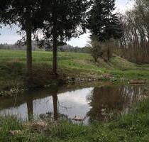 Teiche Weiher zu verpachten - 100,00&nbsp;EUR Kaltmiete, ca.&nbsp; 0,00&nbsp;m&sup2; in Burghaslach (PLZ: 96152)