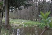 Foto - Grundst&uuml;ck zur Miete in Burghaslach