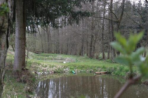 Foto - Grundst&uuml;ck zur Miete in Burghaslach