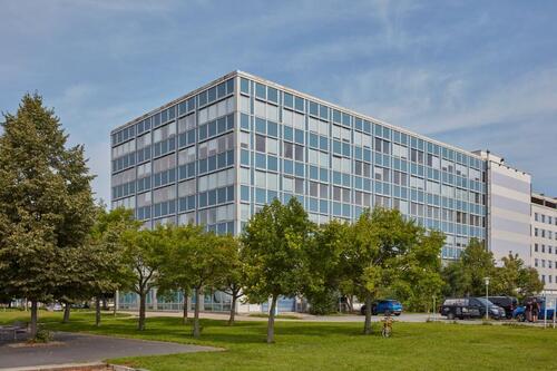 Foto - andere in Dresden