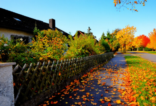 Foto - Großzügiges Haus in bester Wohnlage in Gundelsheim - Mehrgenerati