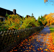 Großzügiges Haus in bester Wohnlage in Gundelsheim - Mehrgenerati Großzügiges Haus in bester Wohnlage in Gundelsheim - Mehrgenerati