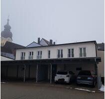 Gemütliches 1- Zimmerapartment möbliert - Wolnzach