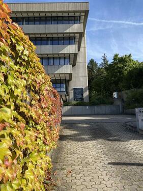Foto - andere in Wiesbaden zur Miete