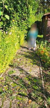 Foto - Grundst&uuml;ck in Ribnitz-Damgarten zur Miete