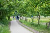 Foto - andere in Haselünne
