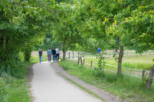 Foto - andere in Haselünne