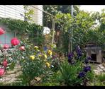 Foto - Einfamilienhaus in Süderlügum
