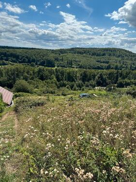 Foto - Garten Grundstück Weinberg mit Aussicht - Hütte möglich