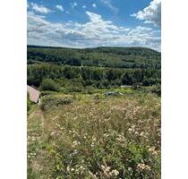 Garten Grundstück Weinberg mit Aussicht - Hütte möglich - Ölbronn-Dürrn