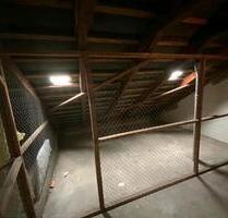Abstellraum im Dachboden - 30,00 EUR Miete, in Molfsee (PLZ: 24113)