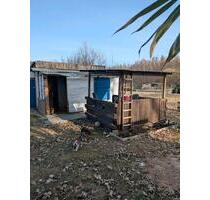 Schrebergarten - 800,00&nbsp;EUR Kaltmiete, ca.&nbsp; 0,00&nbsp;m&sup2; in Crivitz (PLZ: 19089)