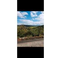 Wohnung zu vermieten - 650,00&nbsp;EUR Kaltmiete, ca.&nbsp; 95,00&nbsp;m&sup2; in Lamspringe (PLZ: 31195)