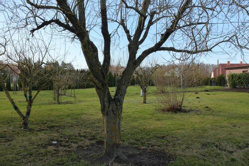 Foto - 3 Zimmer Erdgeschoßwohnung in Wulkenzin